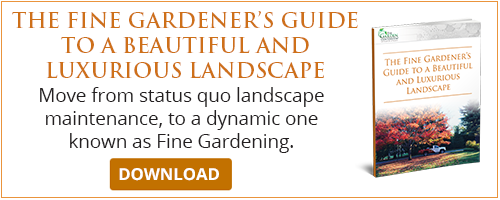 fine gardeners guide to a beautiful and luxurious landscape