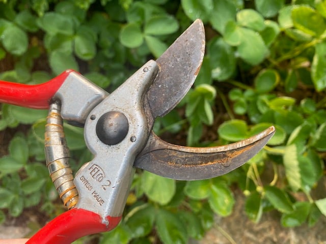 How to Maintain Garden Tools